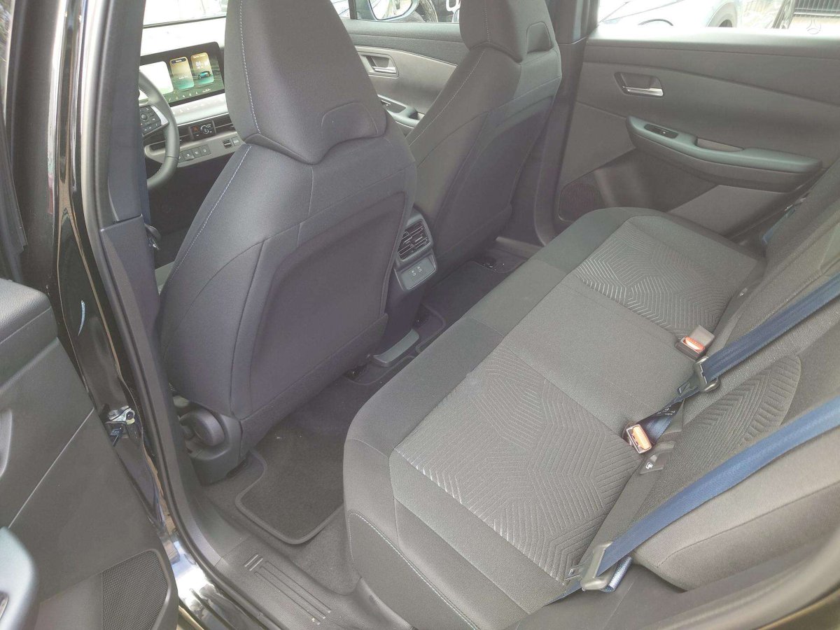 Nissan Leaf Visureigis / Krosoveris Elektra