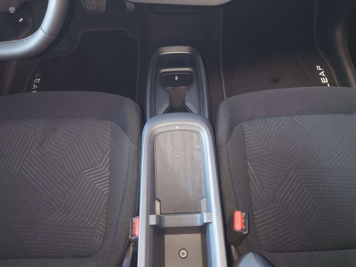 Nissan Leaf Visureigis / Krosoveris Elektra