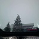 Nissan Qashqai Visureigis / Krosoveris Benzinas / elektra nuotrauka 24