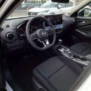 Nissan Juke Visureigis / Krosoveris Benzinas nuotrauka 7