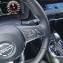 Nissan Juke Visureigis / Krosoveris Benzinas nuotrauka 11