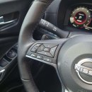 Nissan Juke Visureigis / Krosoveris Benzinas nuotrauka 12