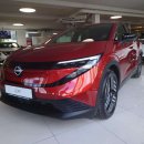 Nissan Leaf Visureigis / Krosoveris Elektra nuotrauka 1
