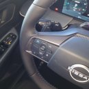 Nissan Leaf Visureigis / Krosoveris Elektra nuotrauka 12